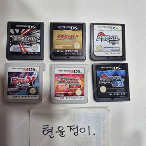 3DS, DS 포켓몬 게임 (알팩)