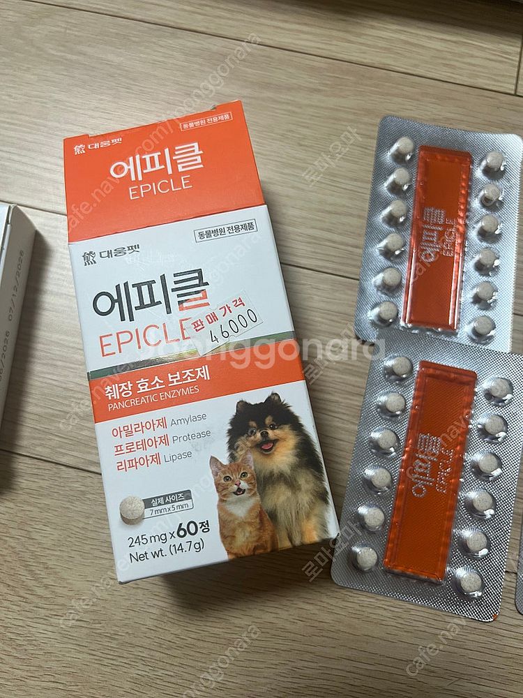 에피클 (췌장효소보호제) 54알--0
