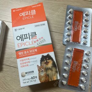 에피클 (췌장효소보호제) 54알