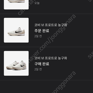 코비6 세일 sail 300