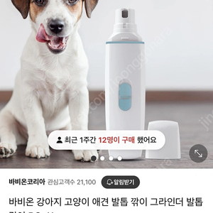 바비온 강아지 고양이 애견 발톱깎이 BG-11