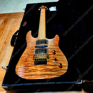 Brian Moore MC-1 Guitars Custom-Shop.-Model )( Quilted Maple-Top)-팔아요.