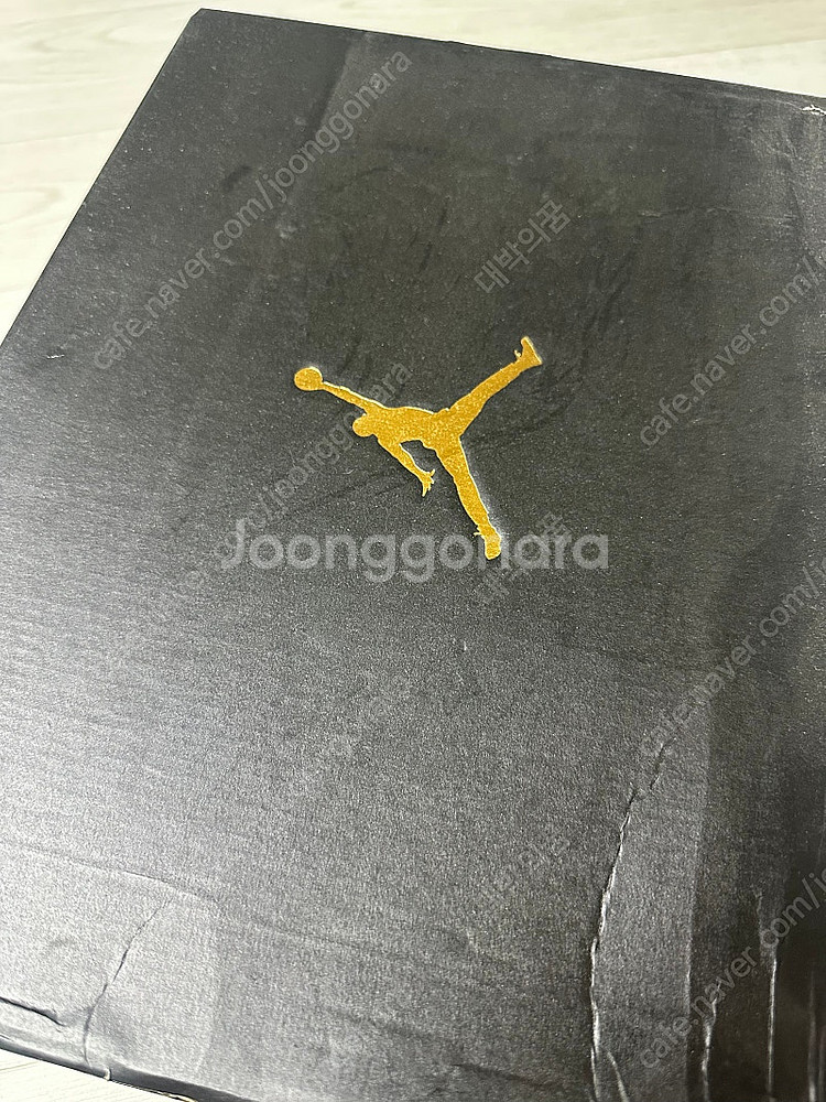 조던4 CU9981 002 정발 골프화--1