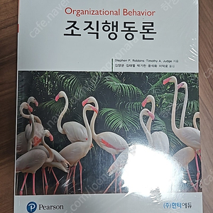 [전공서적] 조직행동론 (제18판) 한티에듀 보호비닐있는 새책