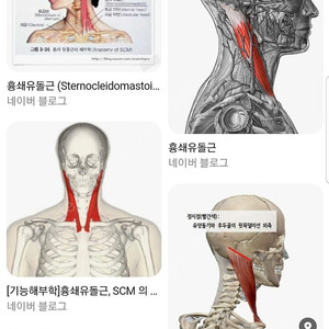 기적의 지압기6번괴 경추지압기 구입원합니다