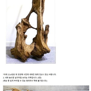 은평구 역촌역 근방에서 멋진 유목들 여러개 정리합니다.