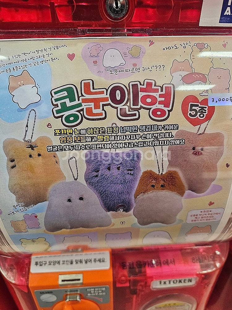지브라파크 프리미엄(4월 12/13일) 성인 2인 티켓...--0