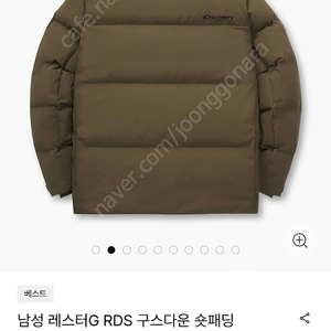 디스커버리 rds