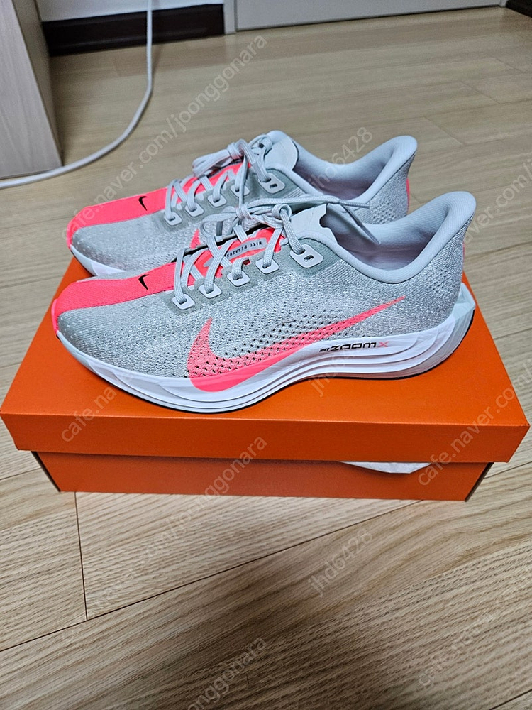 나이키 페가수스 플러스 이미지