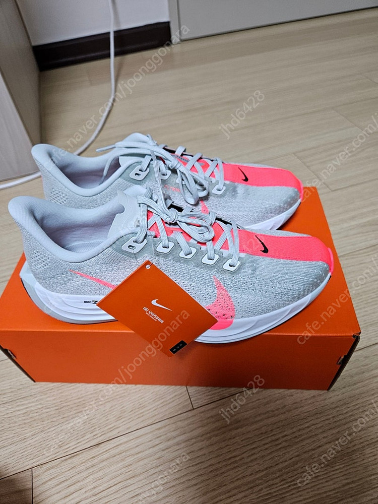 나이키 페가수스 플러스 이미지