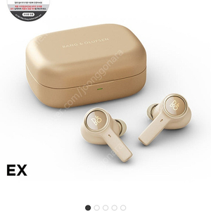 Beoplay EX 케이스