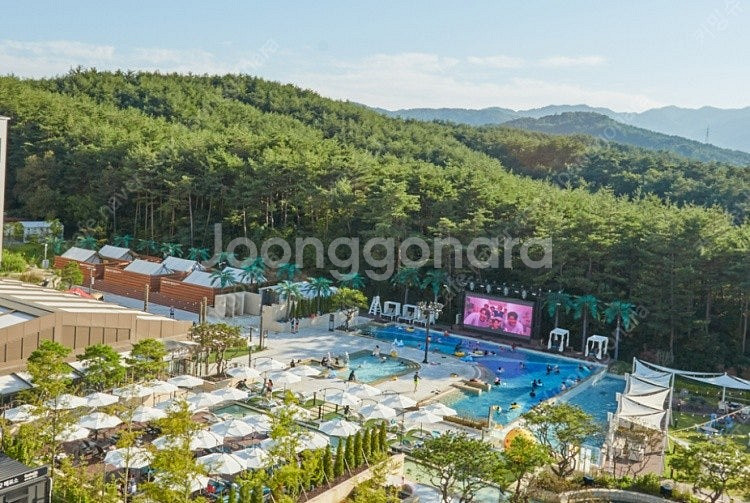 강원도 양양 더앤 온천리조트 3월15일 양도--0