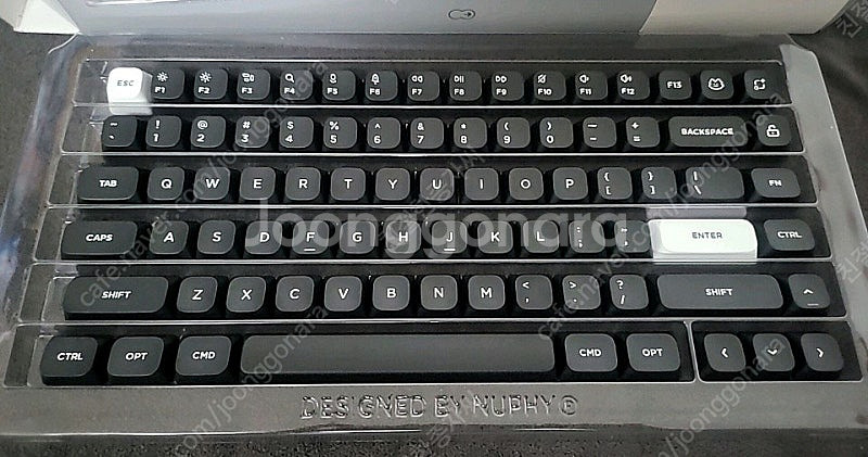 Logitech 로지텍 G512 청축, Nuphy 누피 아크릴 팜레스트, 오테뮤 톰축 스위치--2