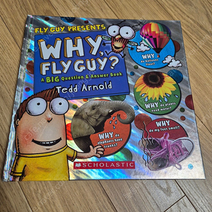 why fly guy?