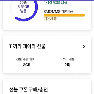 skt2기가