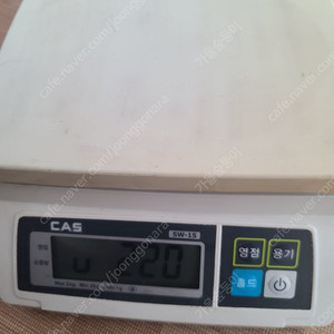 카스 cas 전자 저울 sw-1s max 2kg