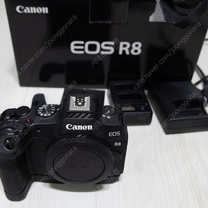 캐논 eos r8