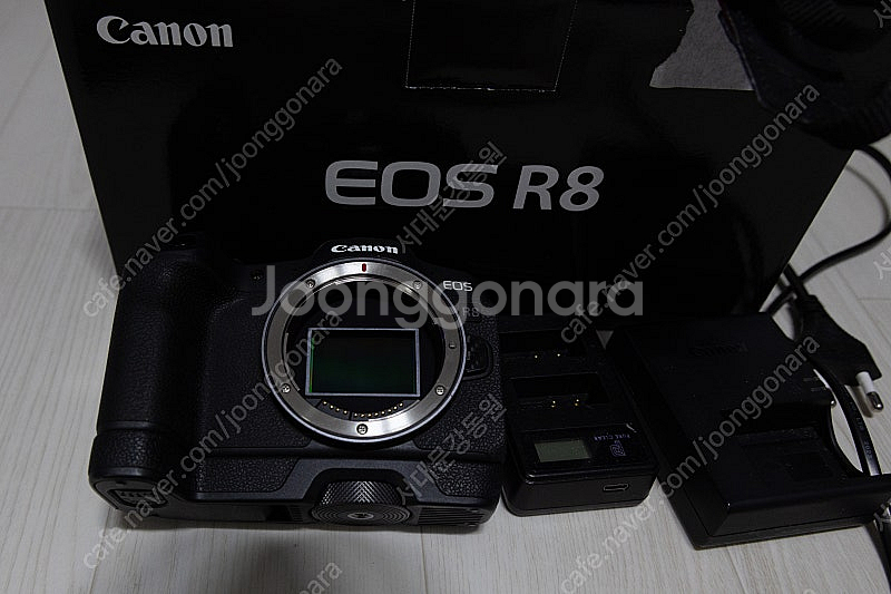 캐논 eos r8--4