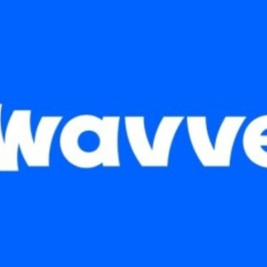 웨이브 파티원모집 wavve