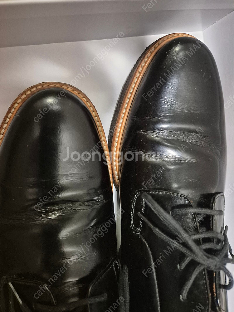 커먼프로젝트 더비 265--1