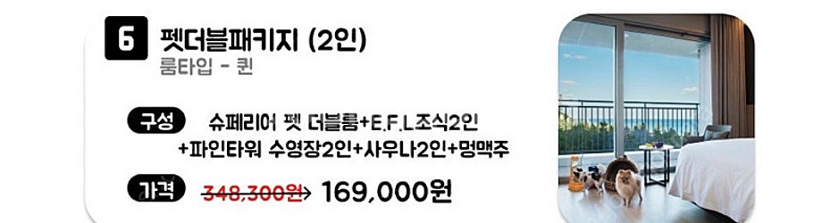 강릉 세인트존스 2/19-20 펫룸 숙박권 풀패키지--0