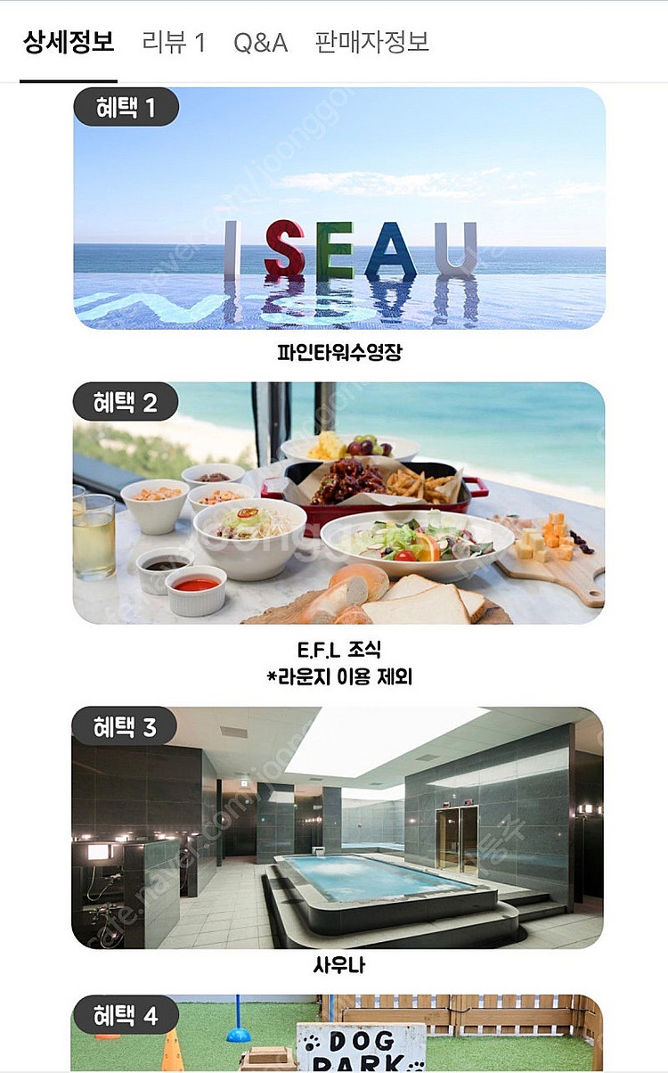 강릉 세인트존스 2/19-20 펫룸 숙박권 풀패키지--2