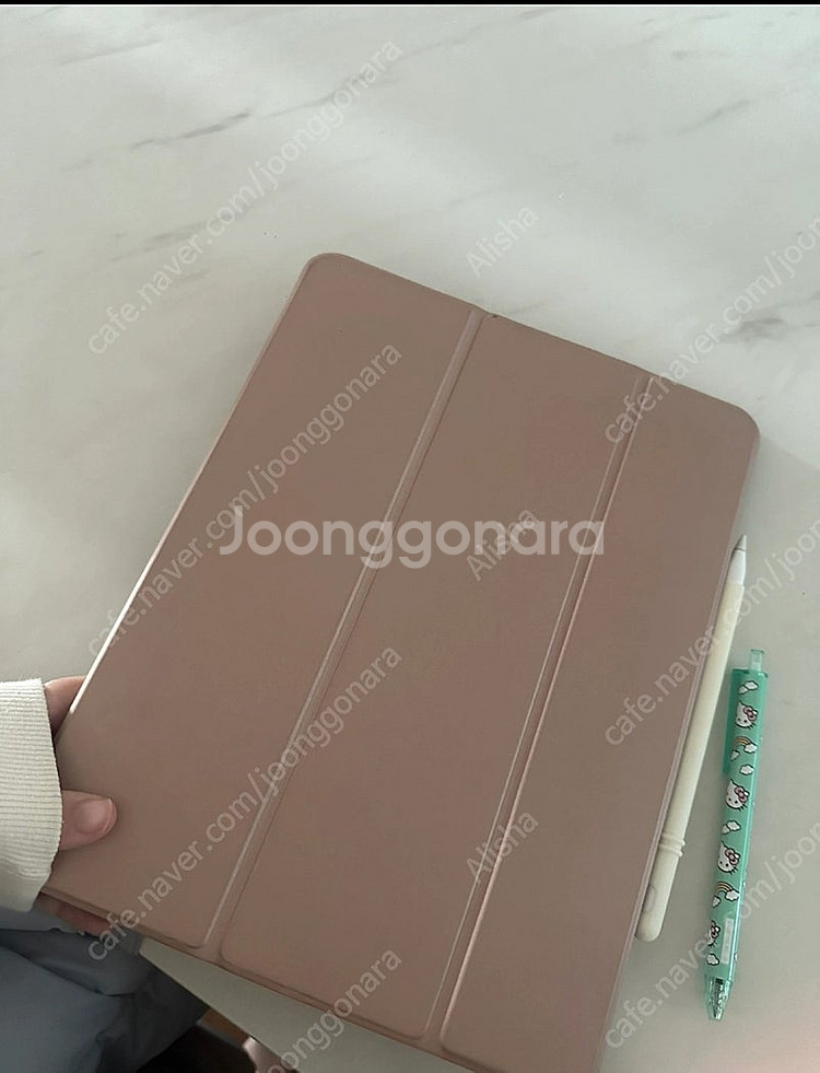 아이패드 프로 12.9 5세대 256GB 셀룰러--3