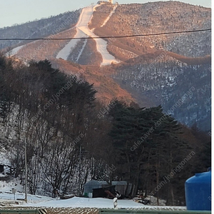 용평 스프링 시즌권 삽니다!! (팔아주세요 제발)