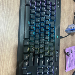 커세어k70 rgb tkl 은축