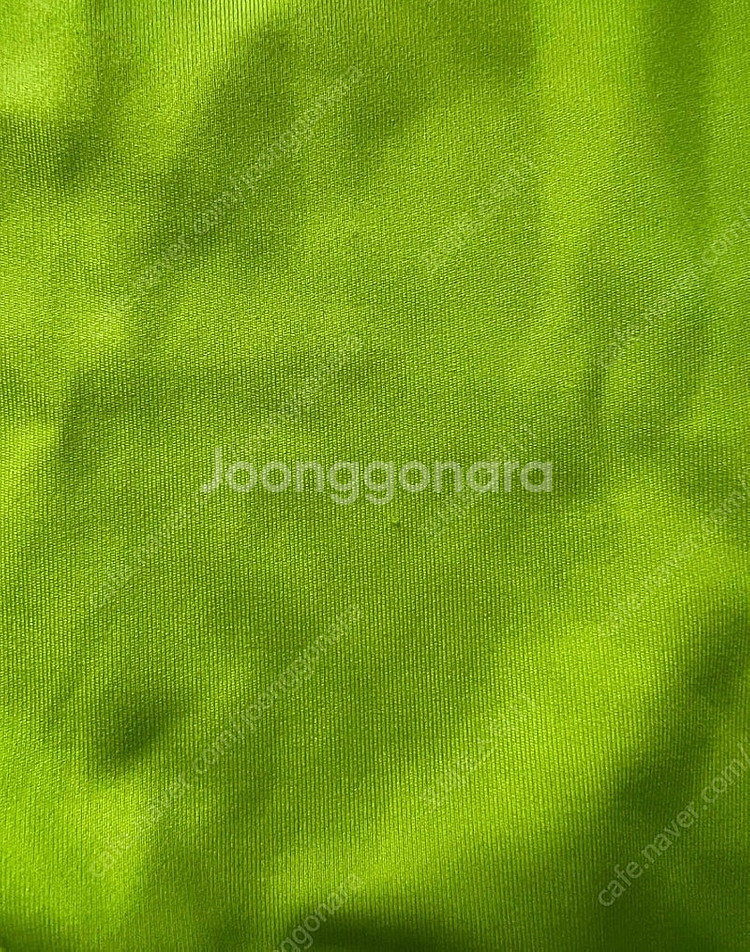에그녹 라임 개미 2y--3