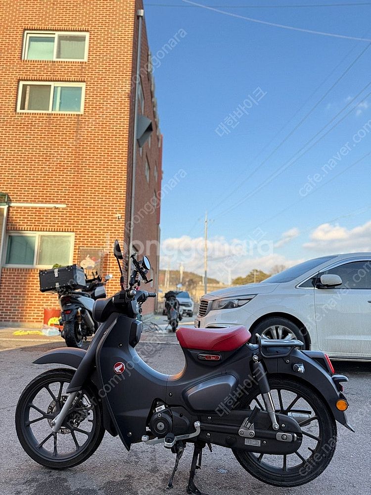 [신차보증]혼다 슈퍼커브 C125 22년식 1만KM 맷...--3