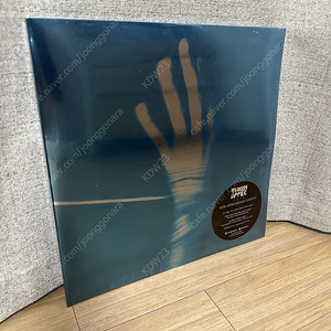 쏜애플 - 이상기후 LP (10주년)