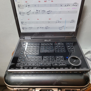 엘프 900 반주기