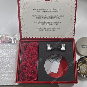 CVJ Bidong 이어폰 판매합니다