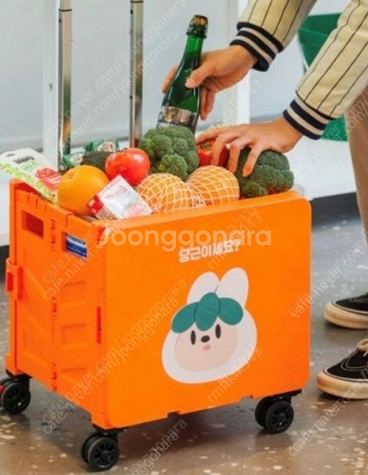 <삽니다>당근마켓 폴딩카트--0