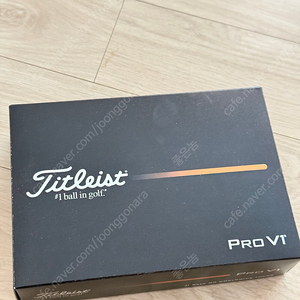 타이틀리스트 pro v1 신형 골프공