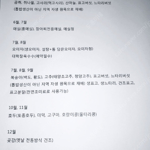 호랑이콩 국산콩 울타리콩 건조콩 판매합니다