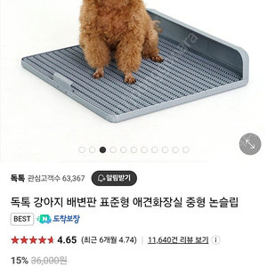 독톡 배변판 표준형