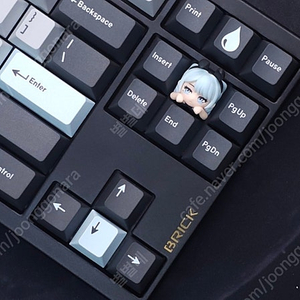 BRICK TKL(알루브릭) WKL 블랙 판매