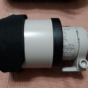 캐논 EF300 1:2.8L IS USM 직거래