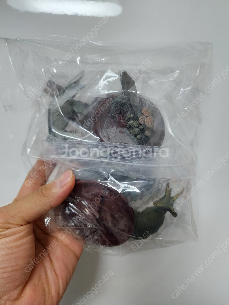 [새해기념세일] 반다이 생물대도감, 포켓몬, 디지몬, ...--8