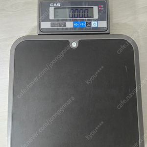 카스 이동형저울 pbii-60kg(어댑터포함) 판매합니다.(최대 60kg, 20g 단위)