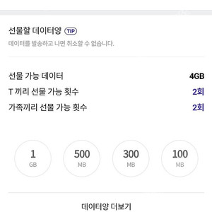 sk 데이터 데이타 2G 2기가 3천원 판매 3,000원