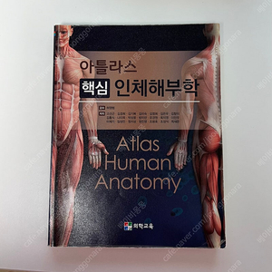 의학교육 아틀라스 인체해부학