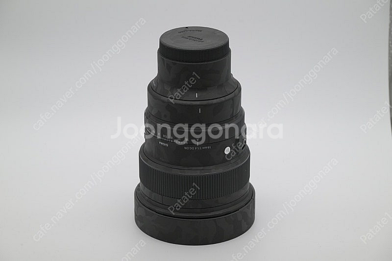 시그마 14mm F1.4 DG DN (소니 E)--3