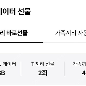 SK 데이터 1기가씩 총2기가