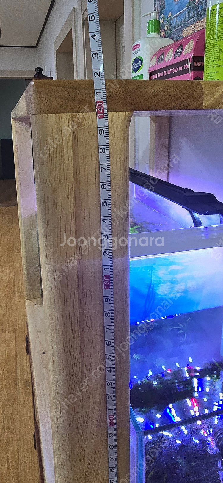 2자 어항,30큐브 어항, 3자 원목 축양장 일체 판매...--1