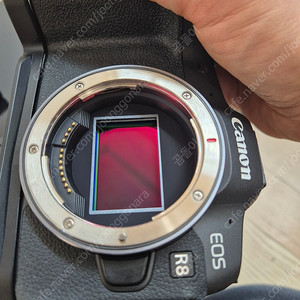 캐논 eos R8 팝니다