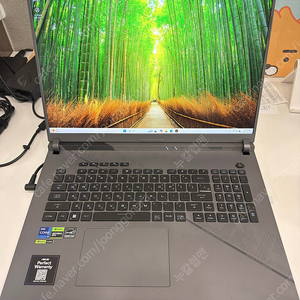 ASUS G814JIR-N6079 G18 노트북 4070