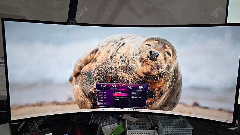 LG34GS95QE lg oled34인치 모니터--0